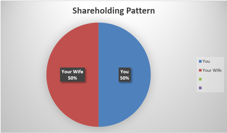 a pie chart of shareholding pattern